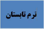 ترم تابستان