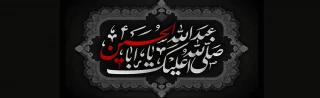 ان الحسین مصباح الهدی و سفینه النجاه